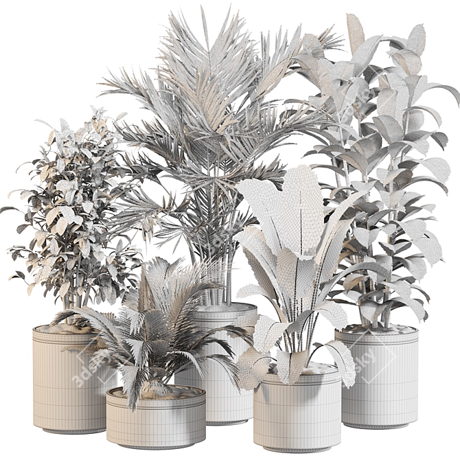 Modern Indoor Plant Set 020 3D model image 5