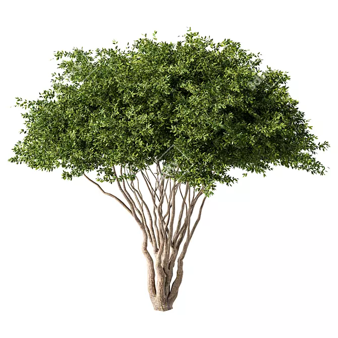 Modern Tree Sculpture No.68 3D model image 1