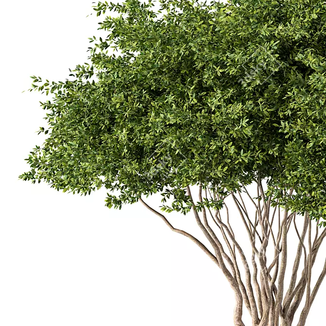 Modern Tree Sculpture No.68 3D model image 2