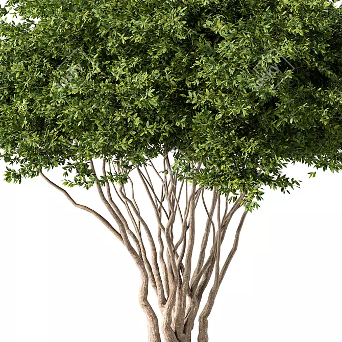 Modern Tree Sculpture No.68 3D model image 3