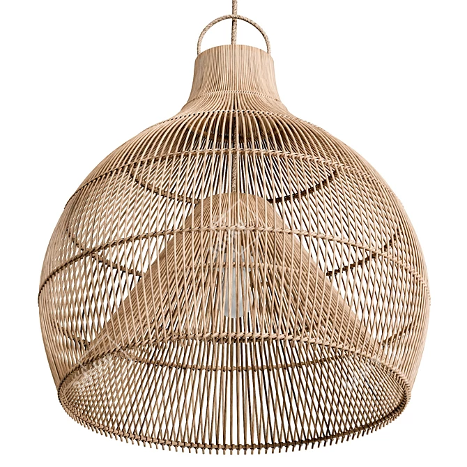 Handcrafted Lobster Trap Pendant Light 3D model image 5