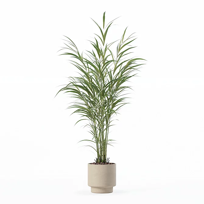 Modern Flower Pot Areca Palm 3D model image 2