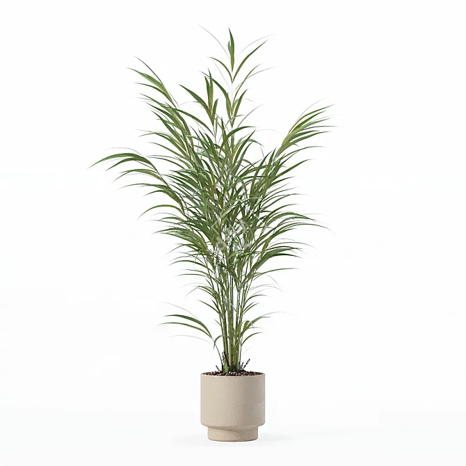 Modern Flower Pot Areca Palm 3D model image 5