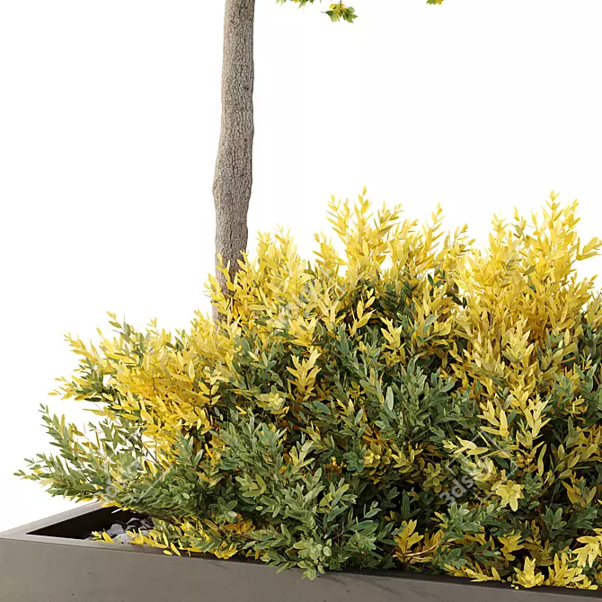 Outdoor Garden Box 3D Models 3D model image 3