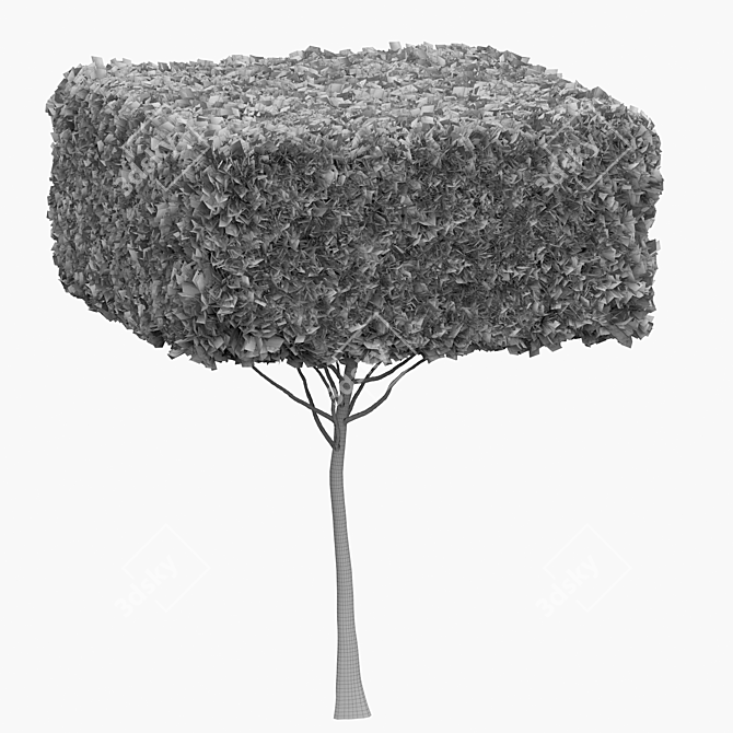 Russian Bush Tree 019 Rendered 3D model image 2