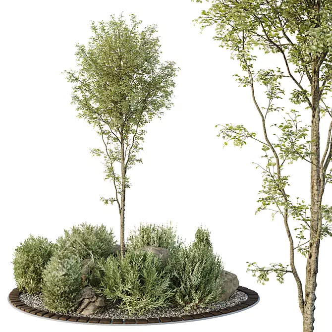 Outdoor HQ Tree Bush Garden Box VOL40 3D model image 1