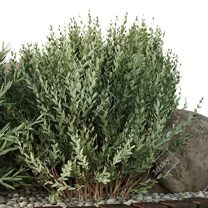 Outdoor HQ Tree Bush Garden Box VOL40 3D model image 4