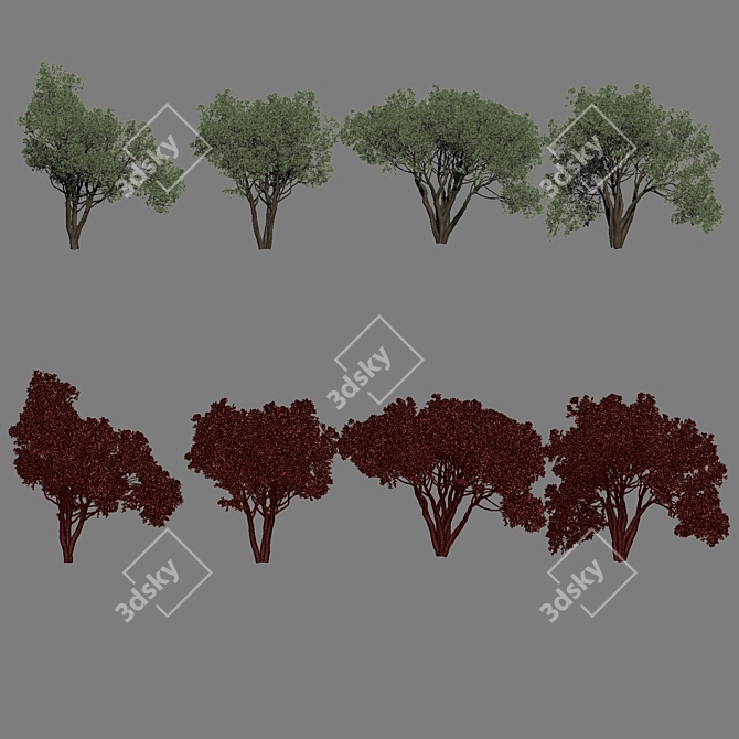 3D Shrubs Collection for Rendering 3D model image 7