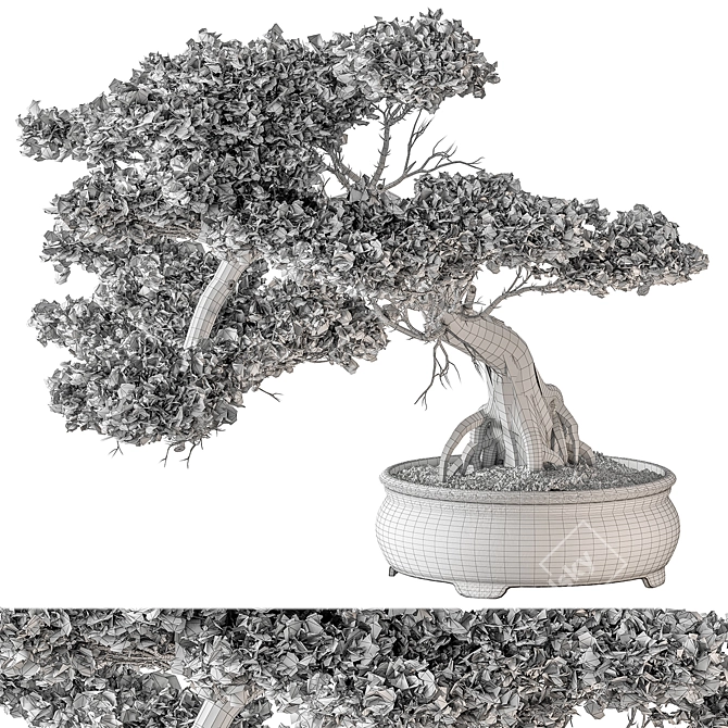 Bonsai Plant 648 - Indoor Greenery 3D model image 3