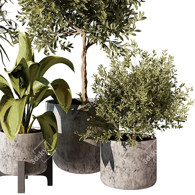 Modern Indoor Plant 3D Model 3D model image 3