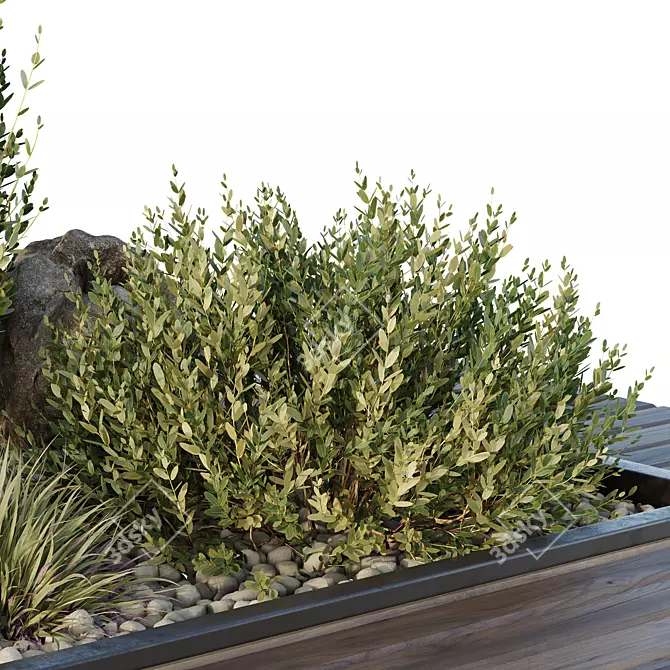 Outdoor Garden Box Bush Collection 3D model image 3