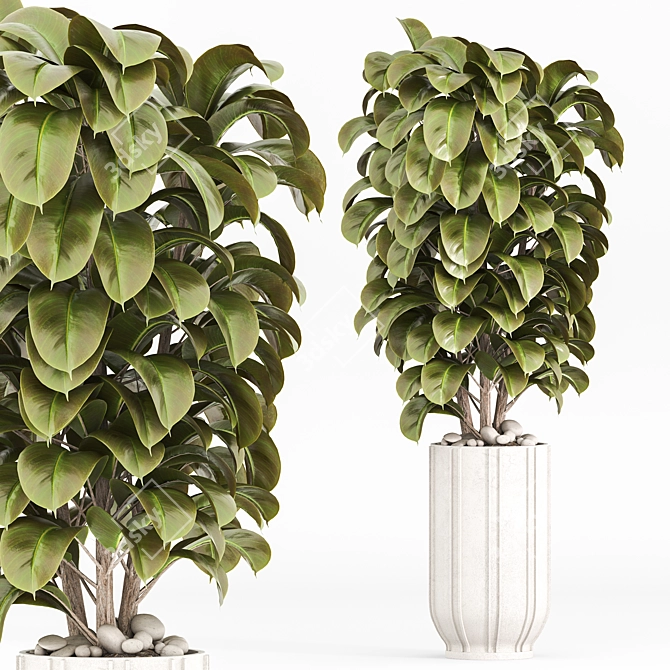 Modern Indoor Plants Set 029 3D model image 2