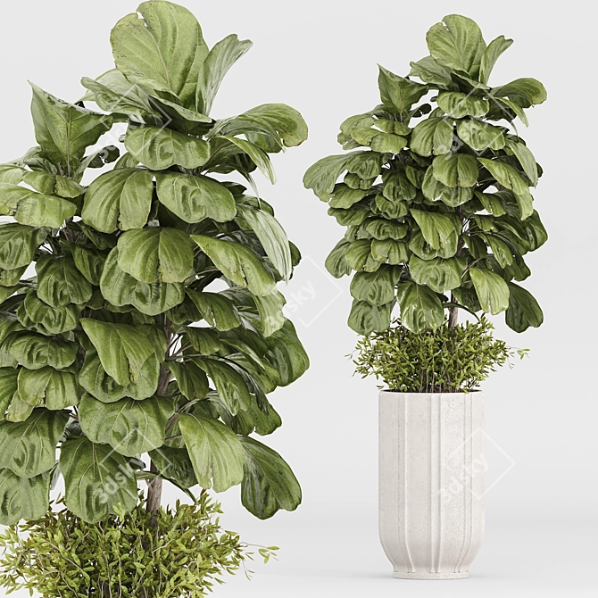 Modern Indoor Plants Set 029 3D model image 3