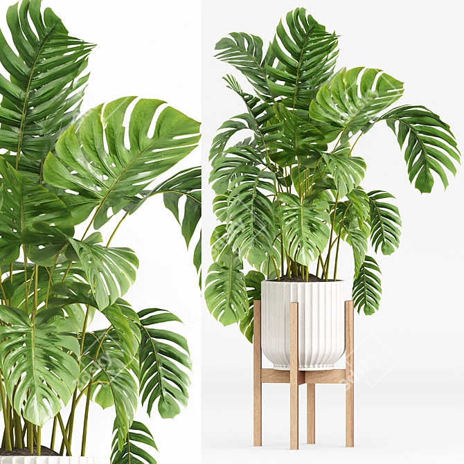 Modern Indoor Plants Set 029 3D model image 4