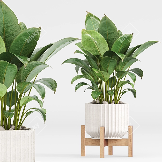 Modern Indoor Plants Set 029 3D model image 6