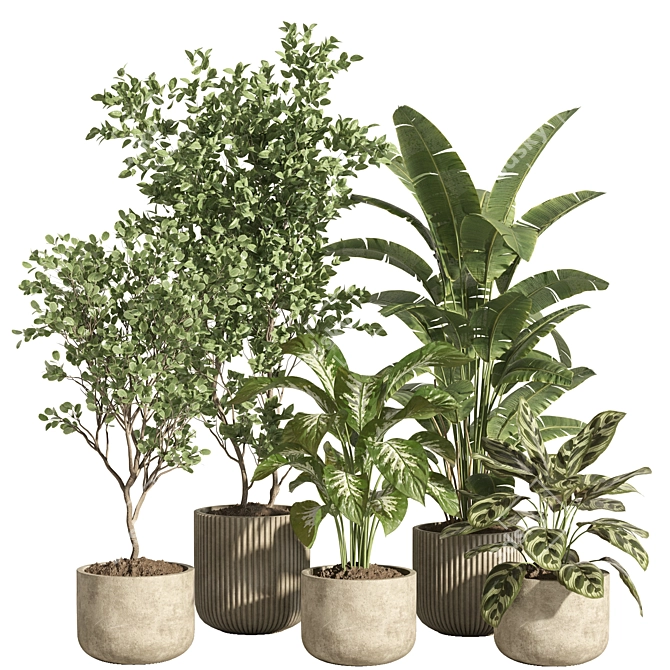 Urban Oasis Plant Set 3D model image 1