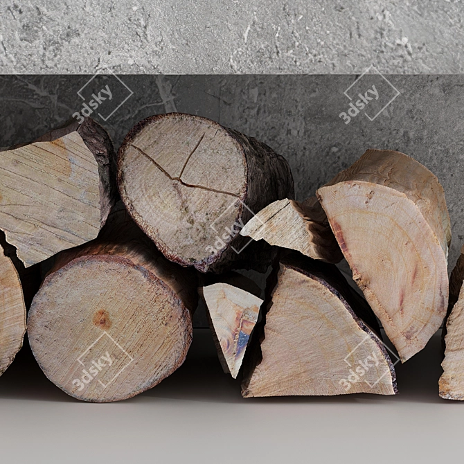 Romotop Decorative Wall Set Firewood 3D model image 5