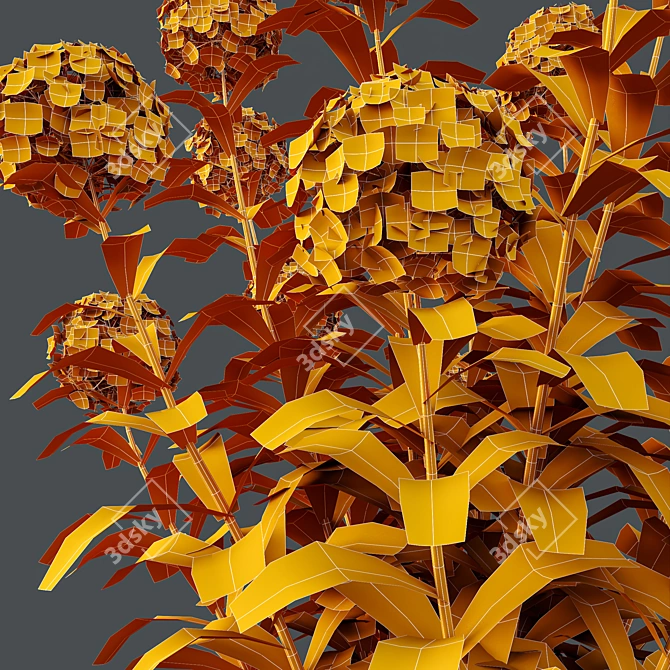 Wild Hydrangea Arborescens 3D Models 3D model image 7