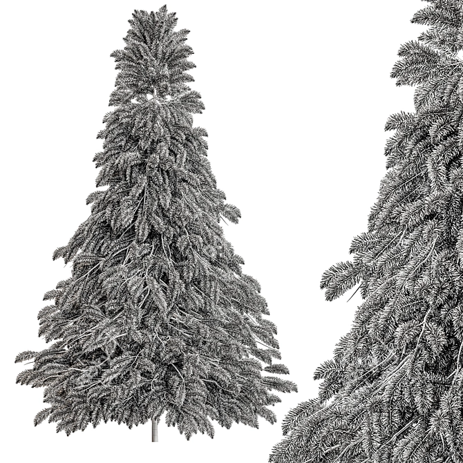 Snowy Pine Tree Set 284 3D model image 3