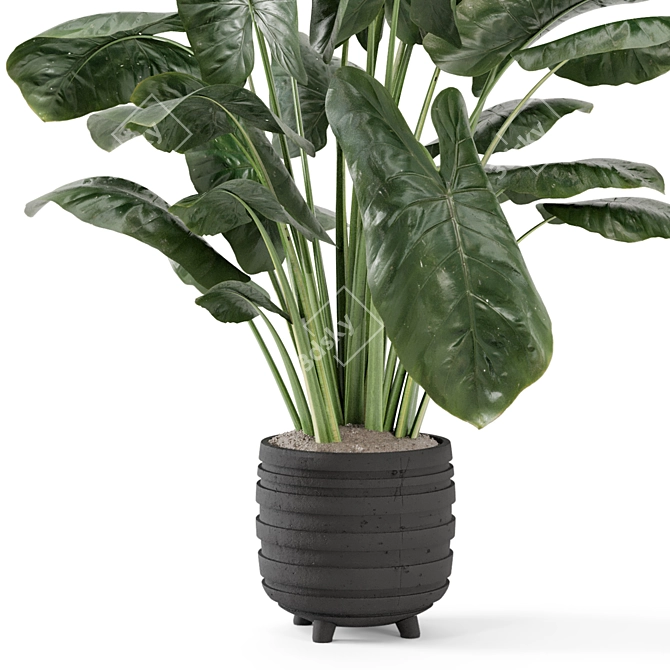 Handmade Stone Pot Indoor Plants 3D model image 4