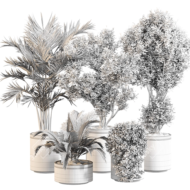 Modern Indoor Plant Set 030 3D model image 5