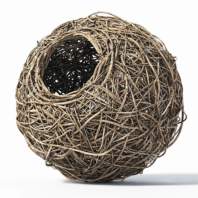 High-Poly Nest 3D Model 3D model image 1