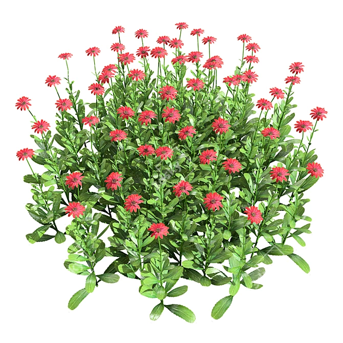 Vibrant 3D Daisy Flower Bush 3D model image 2