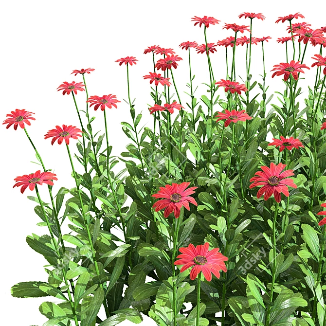 Vibrant 3D Daisy Flower Bush 3D model image 6