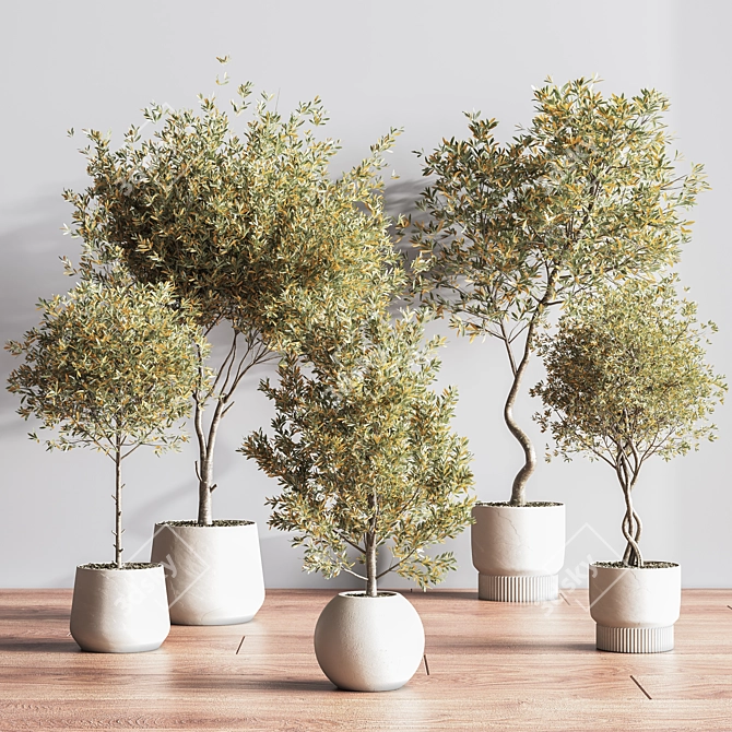 Modern Indoor Plant Set 3D 3D model image 2