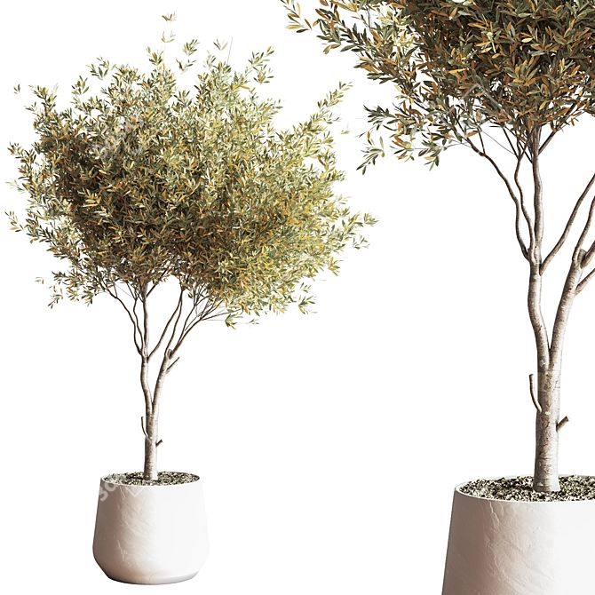 Modern Indoor Plant Set 3D 3D model image 8