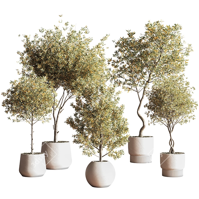 Modern Indoor Plant Set 3D 3D model image 10