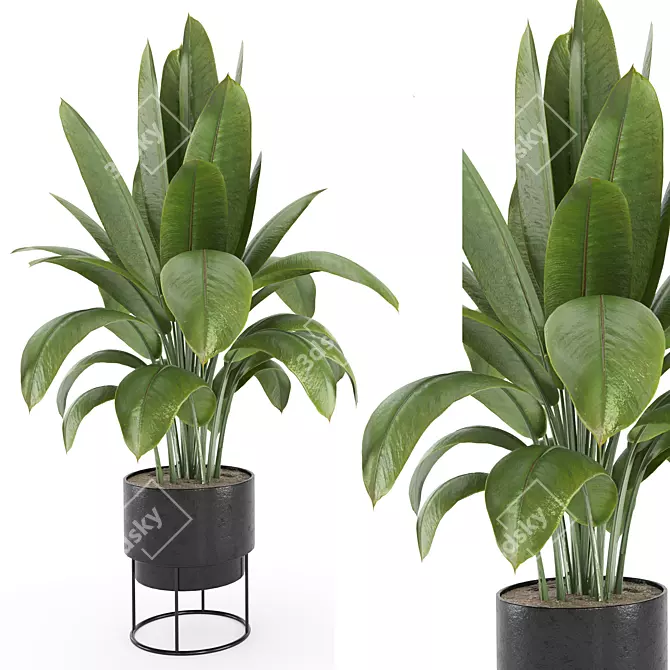  Modern Indoor Plant Set 2 3D model image 1