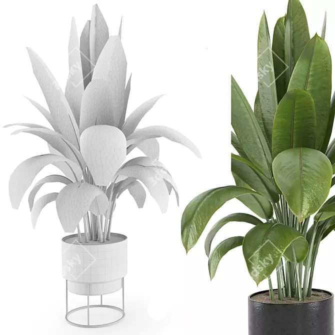  Modern Indoor Plant Set 2 3D model image 2