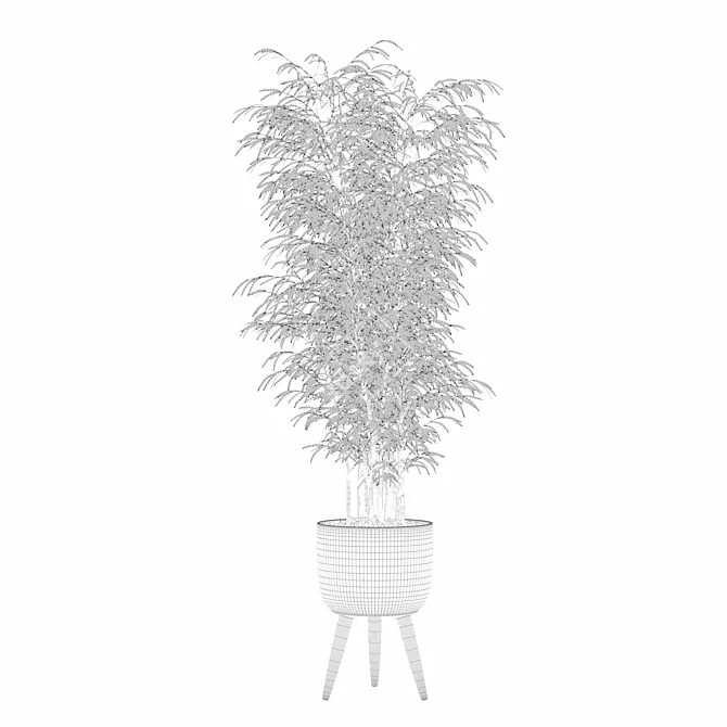  Modern Bamboo Plant in Pot 3D model image 3