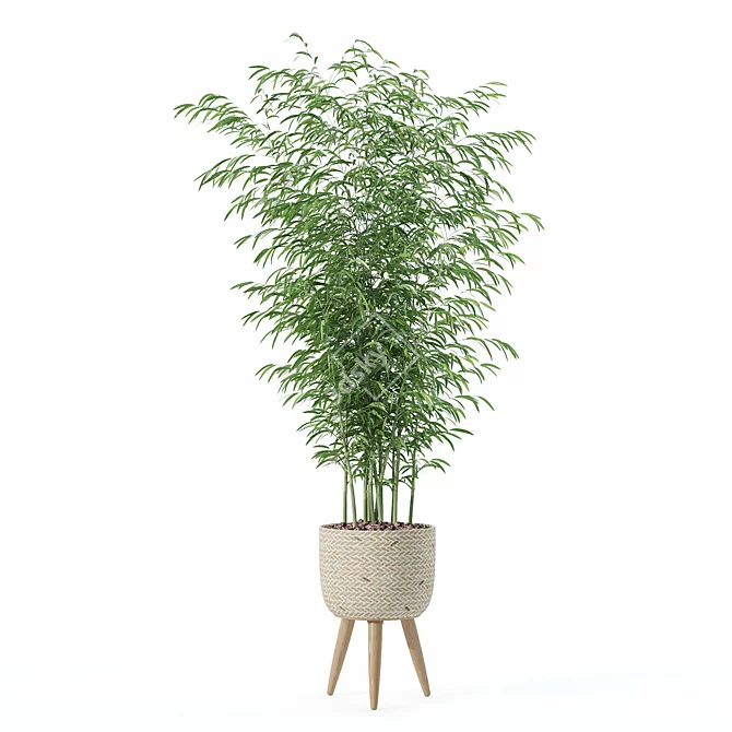  Modern Bamboo Plant in Pot 3D model image 4