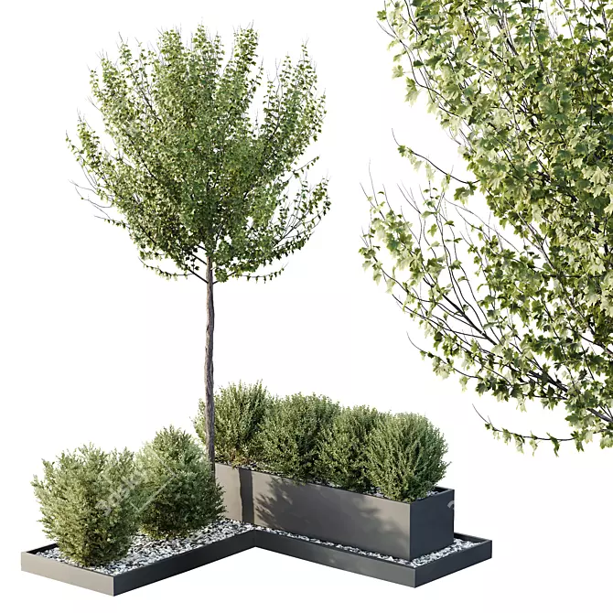 Model Tree Bush Garden Box 3D model image 1