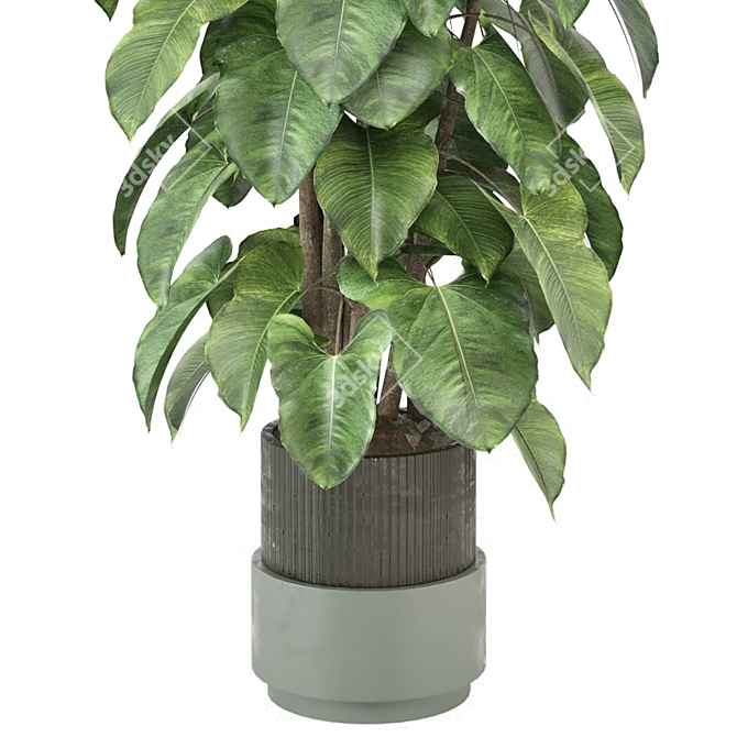  Indoor Plants Collection 1143 3D model image 3