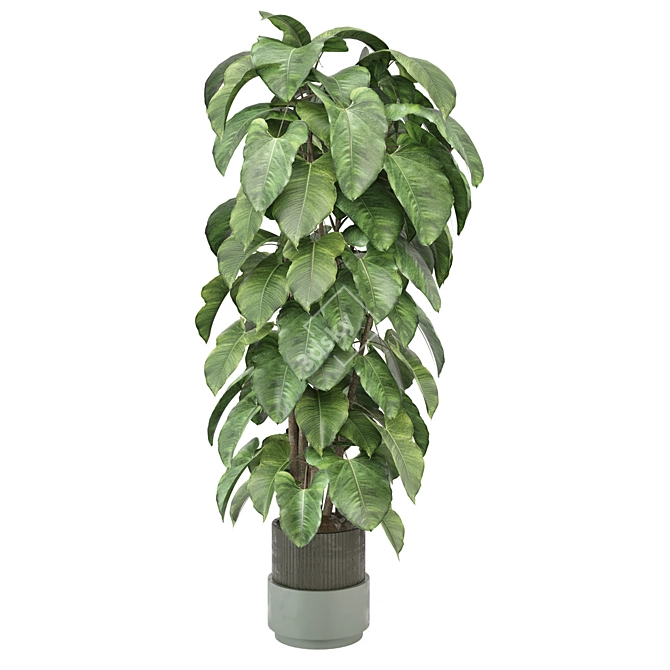  Indoor Plants Collection 1143 3D model image 5