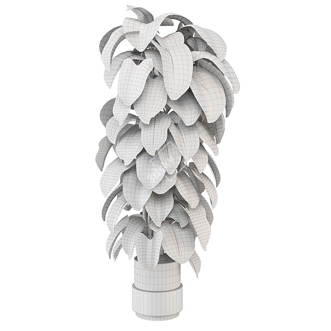  Indoor Plants Collection 1143 3D model image 6