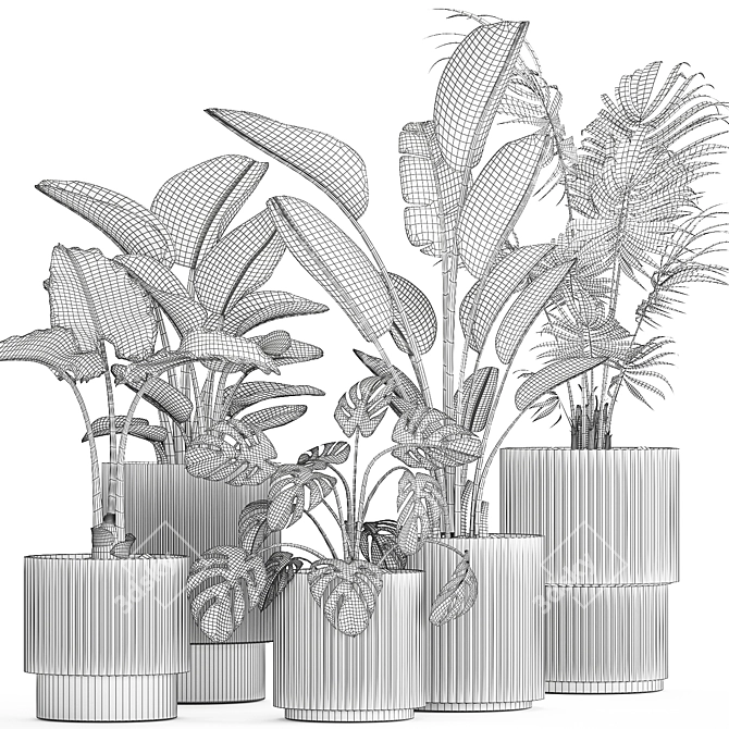 Tropical Plant Collection 1465 3D model image 7