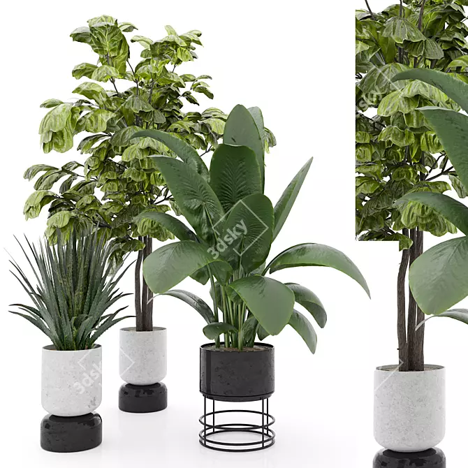 Modern Indoor Plant Set 3 3D model image 1