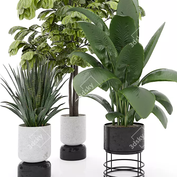 Modern Indoor Plant Set 3 3D model image 2