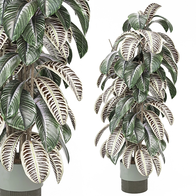 Modern Indoor Plants Collection 3D model image 2