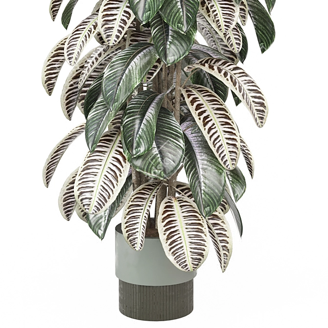 Modern Indoor Plants Collection 3D model image 3