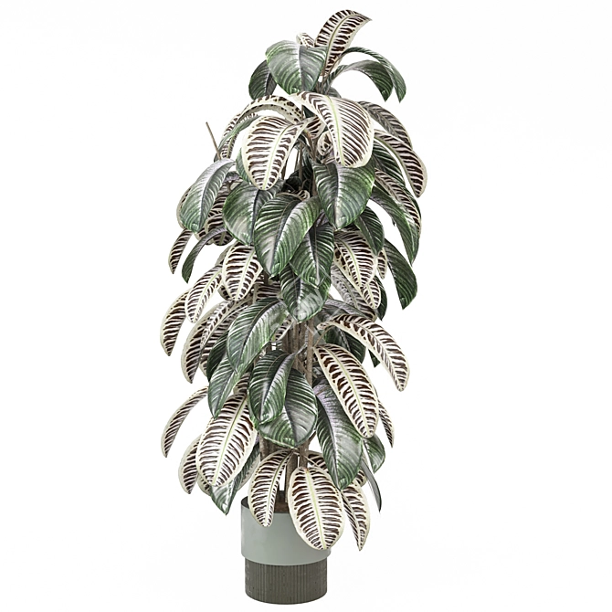 Modern Indoor Plants Collection 3D model image 5