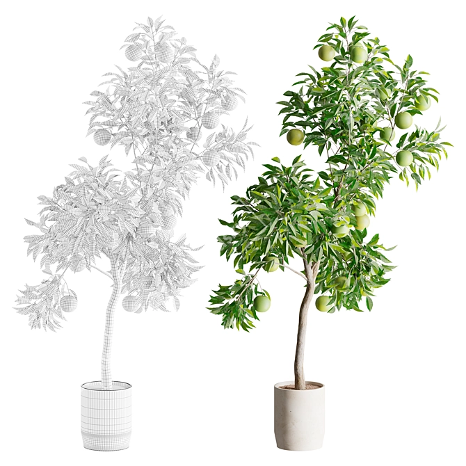 Artificial Orange Tree Pair, Indoor/Outdoor 3D model image 3