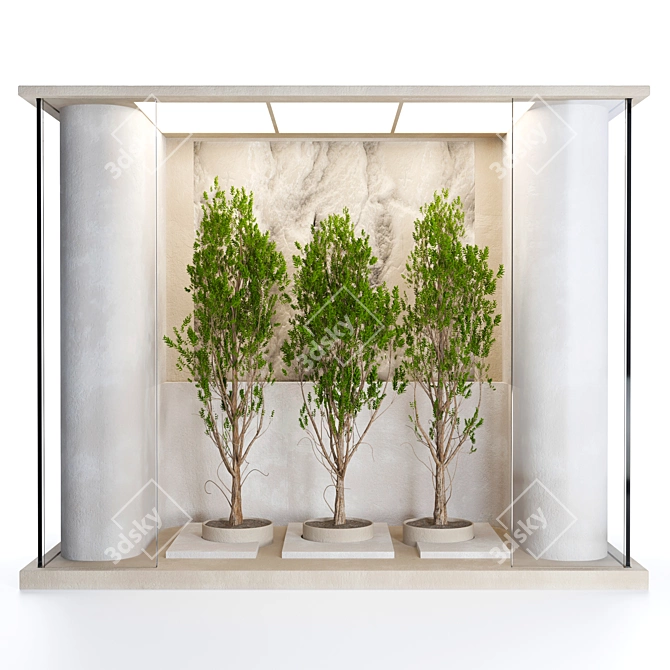 Glass-Enclosed Indoor Plant Set 3D model image 1