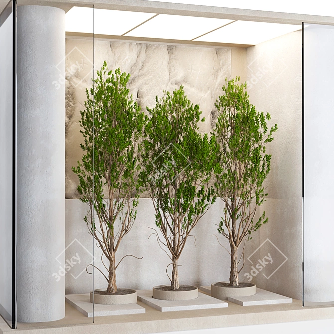 Glass-Enclosed Indoor Plant Set 3D model image 2