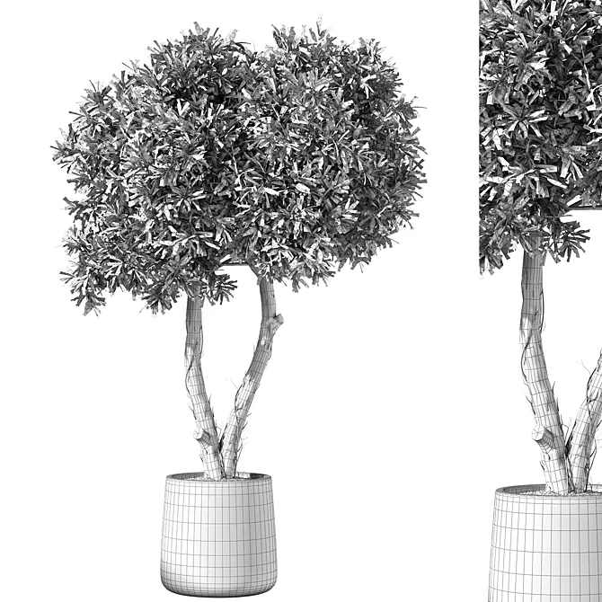 Urban Jungle Plant Set 3D model image 3