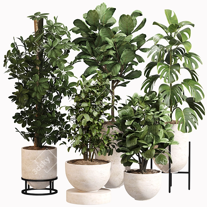 Modern Indoor Plant Set 034 3D model image 1